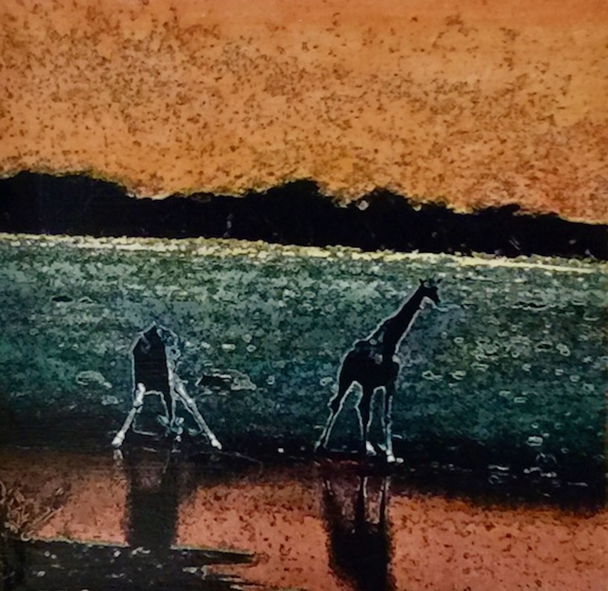 Etosha Park, Giraffes at waterhole 2
