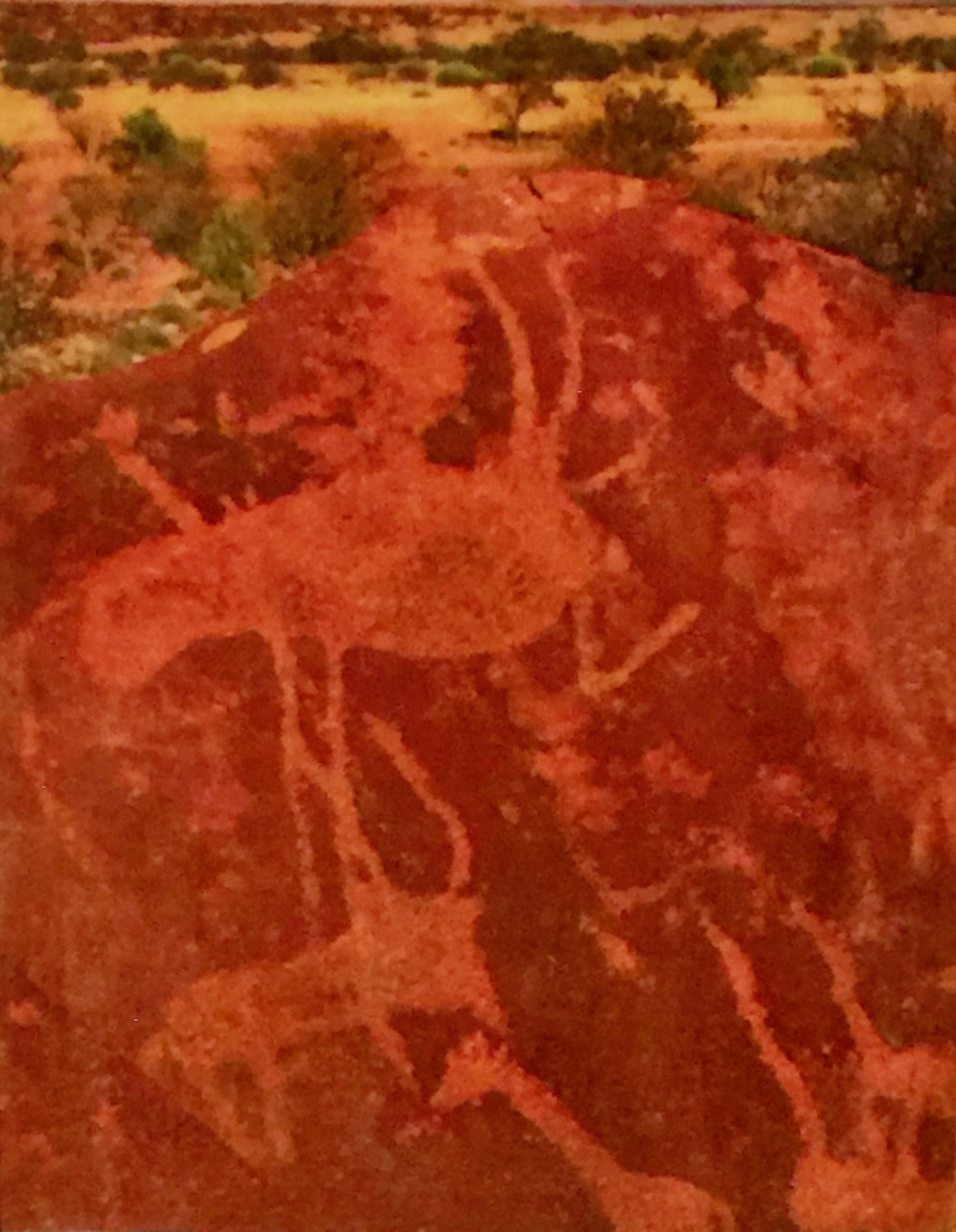 Twyfelfontein Petroglyph 5