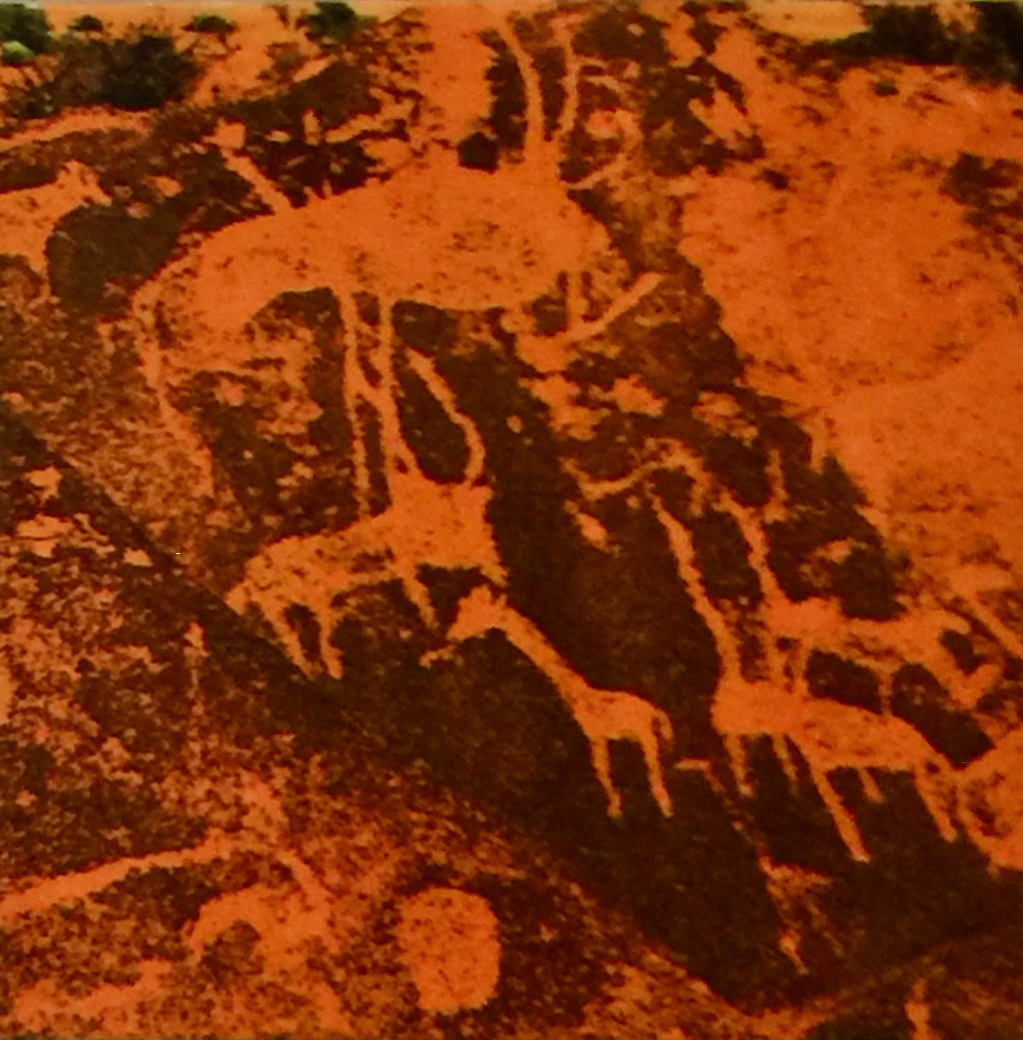 Twyfelfontein Petroglyph 6