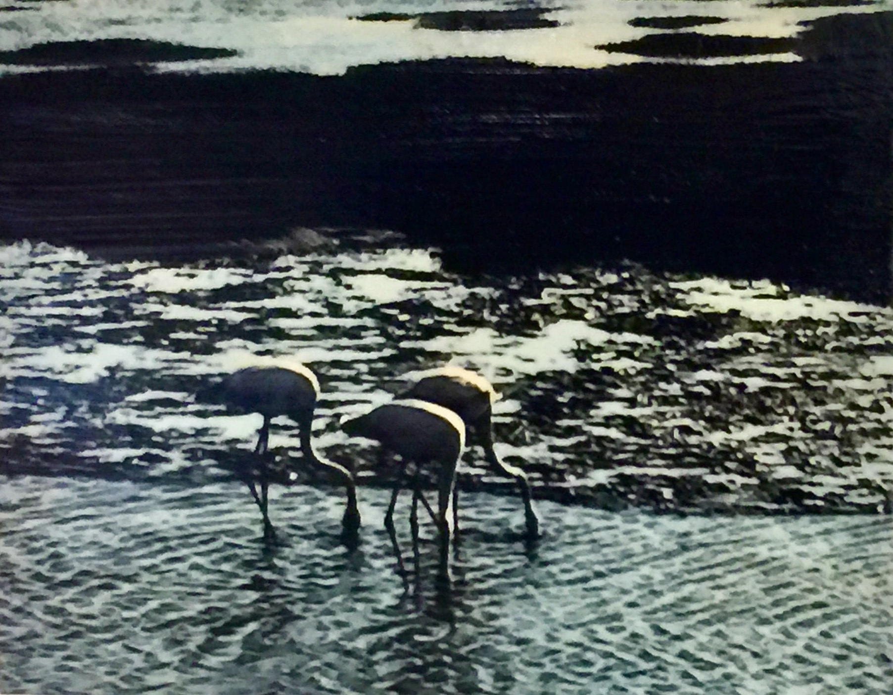 The three Flamingos, Swakopmund