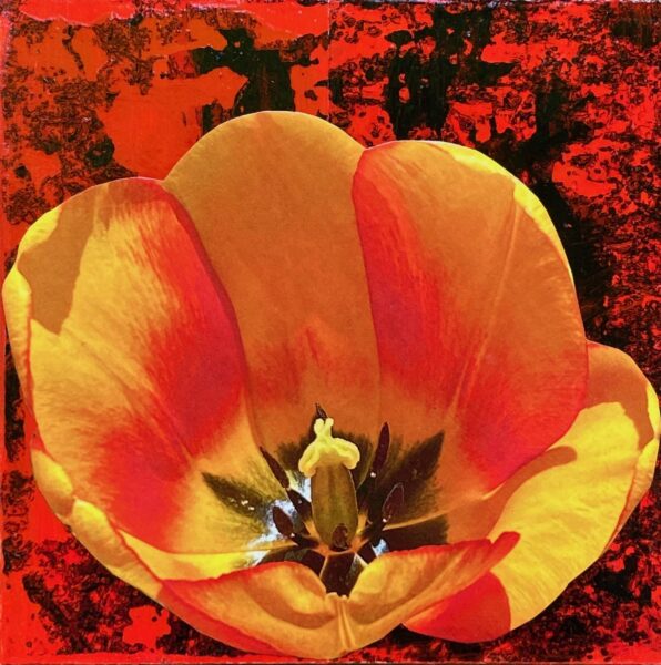 Resplendent Tulip, collage on acrylic painting, 8 x 8", 2021