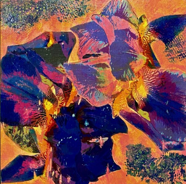 Iris flamboyants, phototransfers and acrylic, 12 x 12", 2021