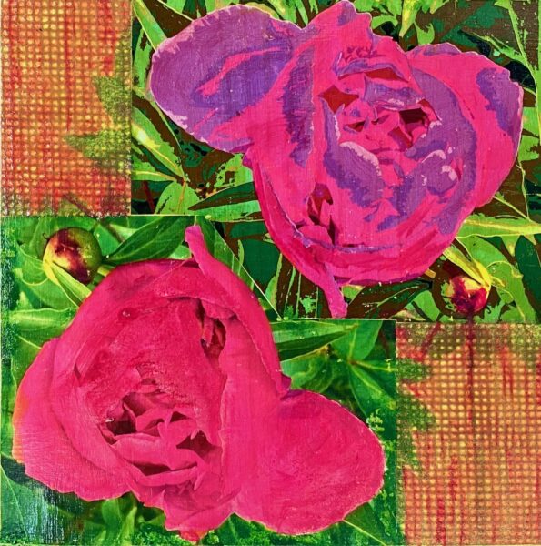 Pivoines Roses, phototransfers, japanese paper and acrylic, 12 x 12", 2021