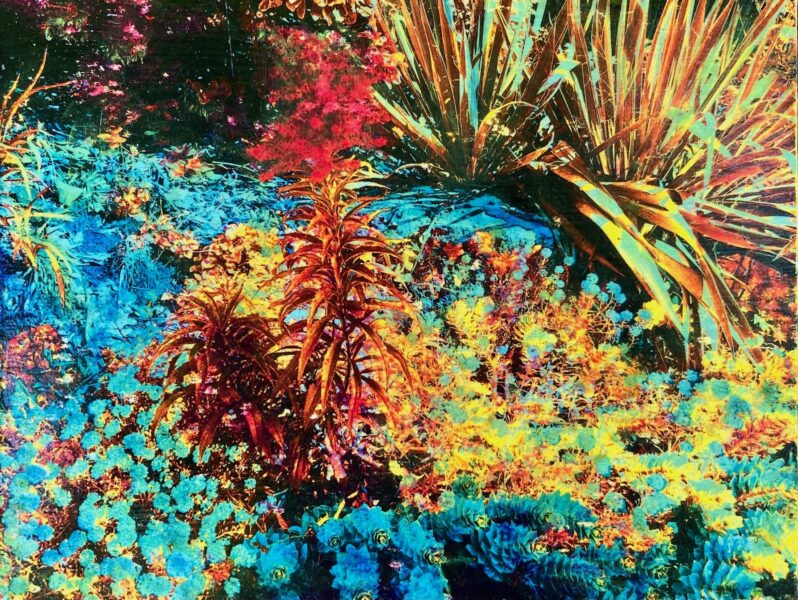 Blue Autumn Garden, phototransfer and acrylic, 8" x 10”, 2021, $160