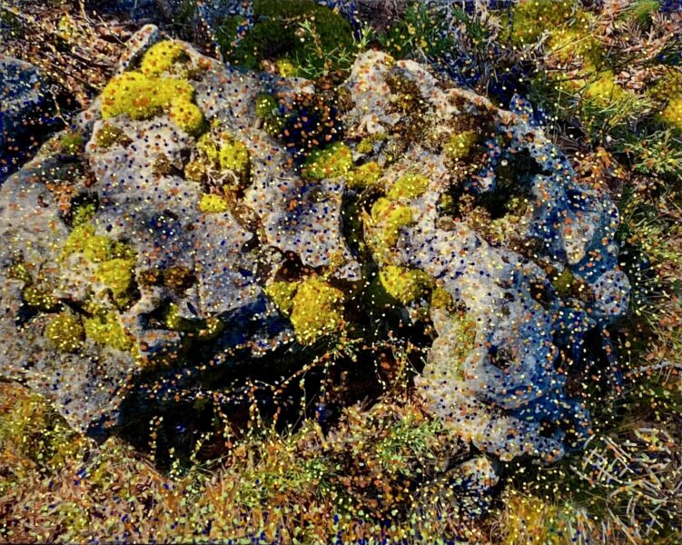 Michelle Letarte, Moss and Rock, West Dyer's Bay Road, phototransfer and acrylic markers on board, 8 x 10"