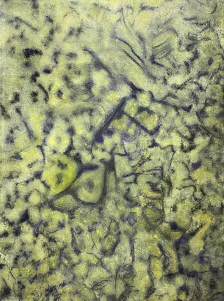 Michelle Letarte, Alvar Imprint by Dorcas Bay, charcoal alvar imprint, acrylic, and oil pastels on canvas, 40 x 30"