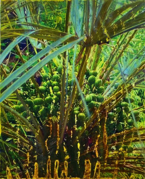 Michelle Letarte, European Fan Palm, Jardin Majorelle, Photo transfer, Pigments & Acrylic, 10 x 8 inches